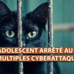 Un adolescent au cœur de multiples cyberattaques : entre piratage et justice