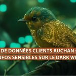 Fuite de données clients Auchan : des infos sensibles en vente sur le dark web